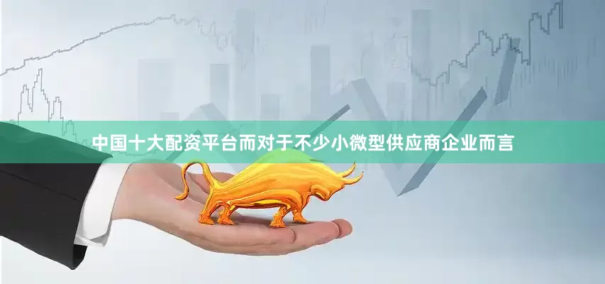 中国十大配资平台而对于不少小微型供应商企业而言
