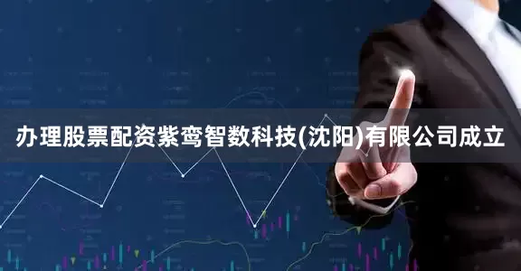 办理股票配资紫鸾智数科技(沈阳)有限公司成立
