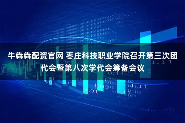 牛犇犇配资官网 枣庄科技职业学院召开第三次团代会暨第八次学代会筹备会议
