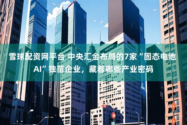 雪球配资网平台 中央汇金布局的7家“固态电池 AI”独苗企业，藏着哪些产业密码