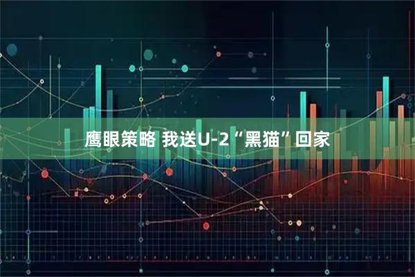 鹰眼策略 我送U-2“黑猫”回家